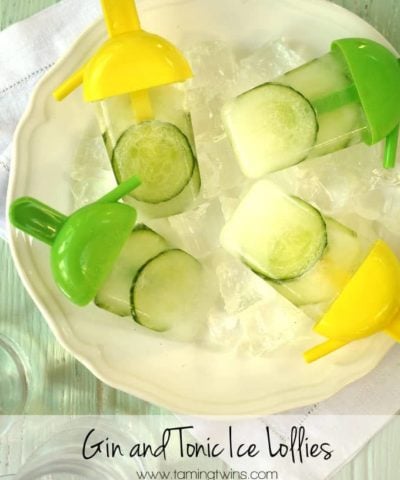 Gin and Tonic Ice Lolly Recipe