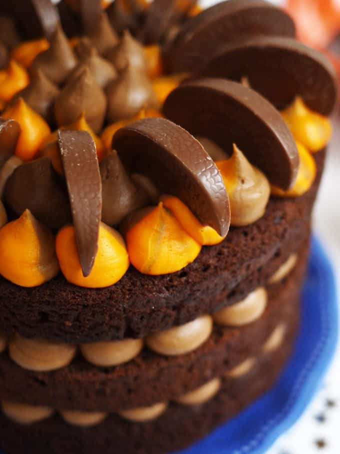 A close look at a Chocolate Orange Layer Cake. Lovely layers of chocolate, sandwiches with orange flavoured chocolate buttercream.