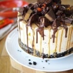 Reece's Peanut Butter Cup No Bake Cheesecake - You MUST try this most amazing, giant cheesecake! A Peanut Butter Oreo cookie base, topped with light but creamy cheesecake mix, filled with heaps of Reece's pieces! https://www.tamingtwins.com
