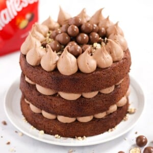 Chocolate Malteser cake with Malteasers in background