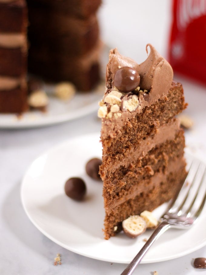 Slice of chocolate cake on a white plate