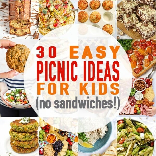 Easy Picnic Ideas for Kids with no sandwiches