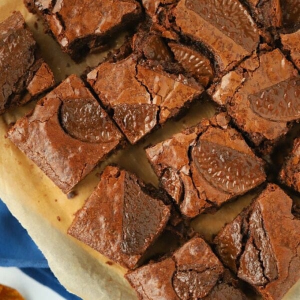 Chocolate orange brownie recipe in squares