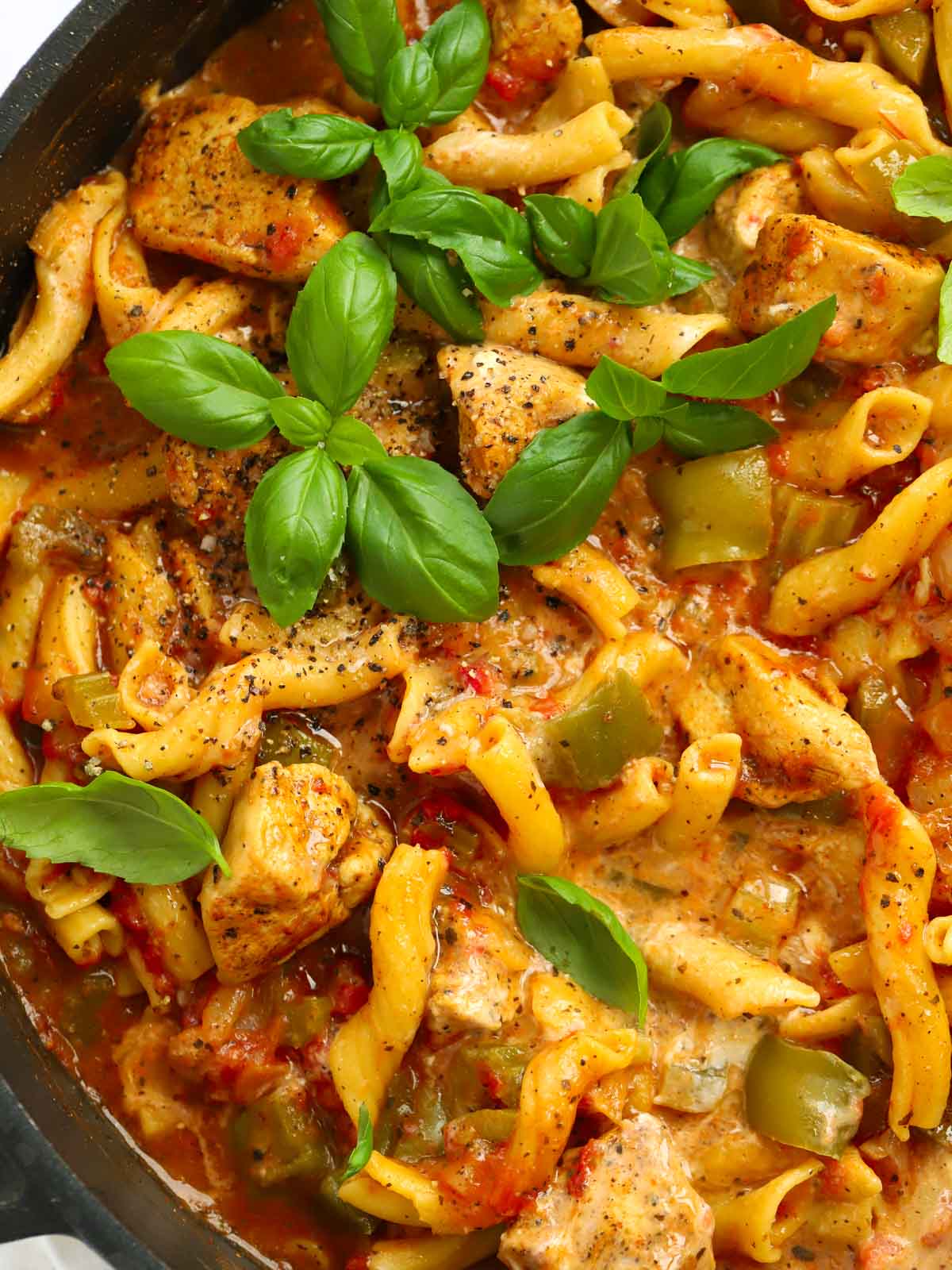 Pasta with spiced chicken and tomato sauce and basil leaves on top