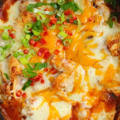 Crock pot slow cooker chicken enchiladas