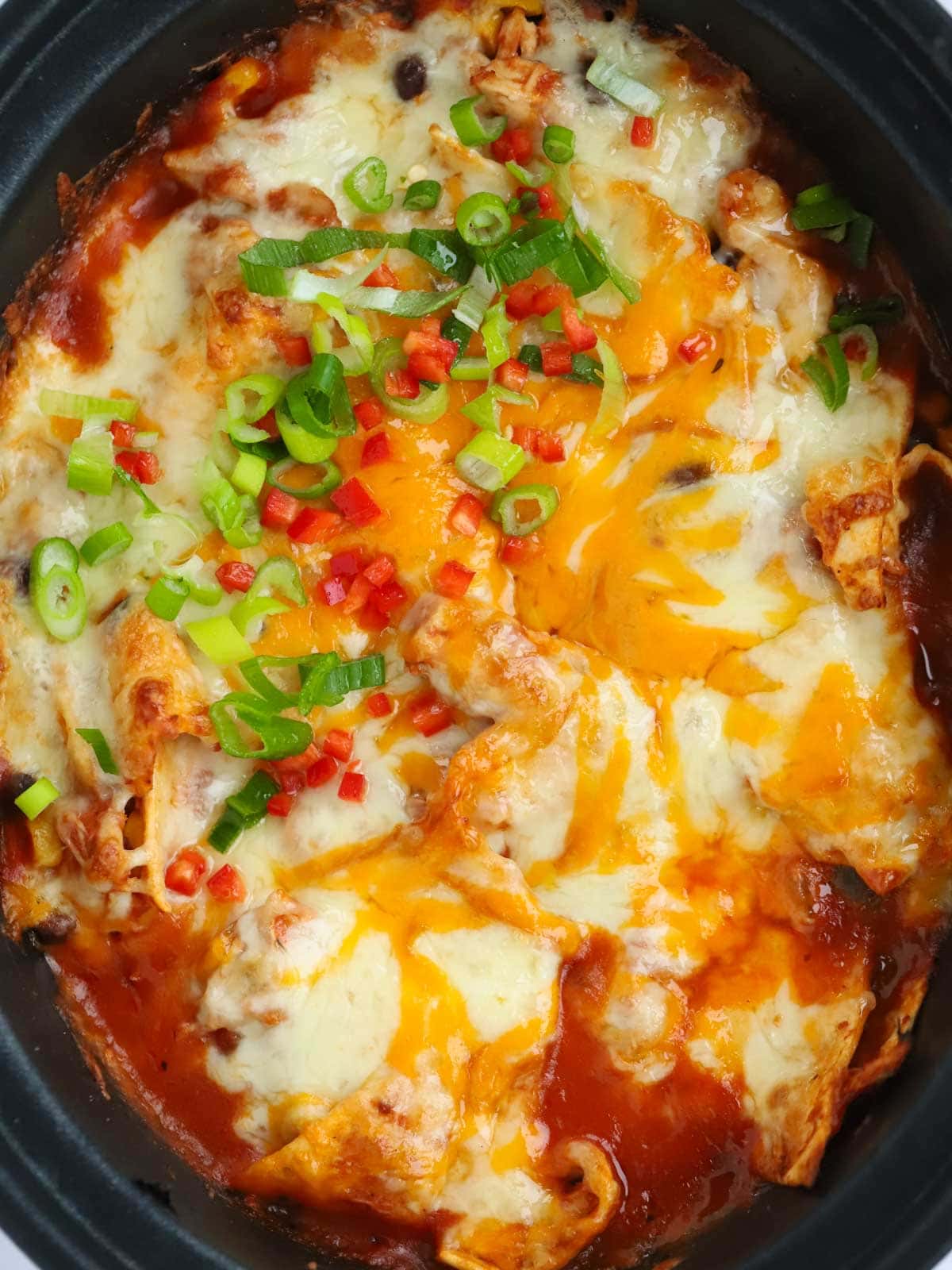 Slow Cooker Chicken Enchiladas