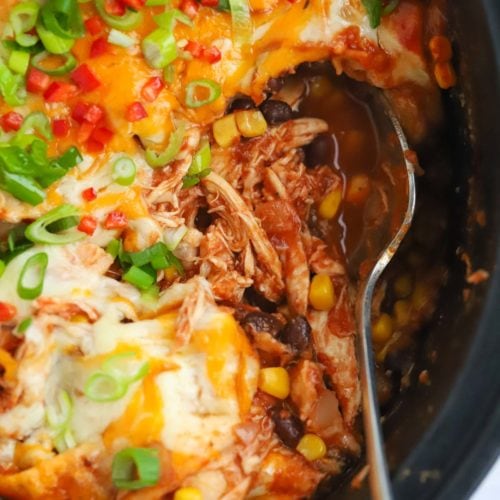 Crockpot Chicken Enchiladas recipe