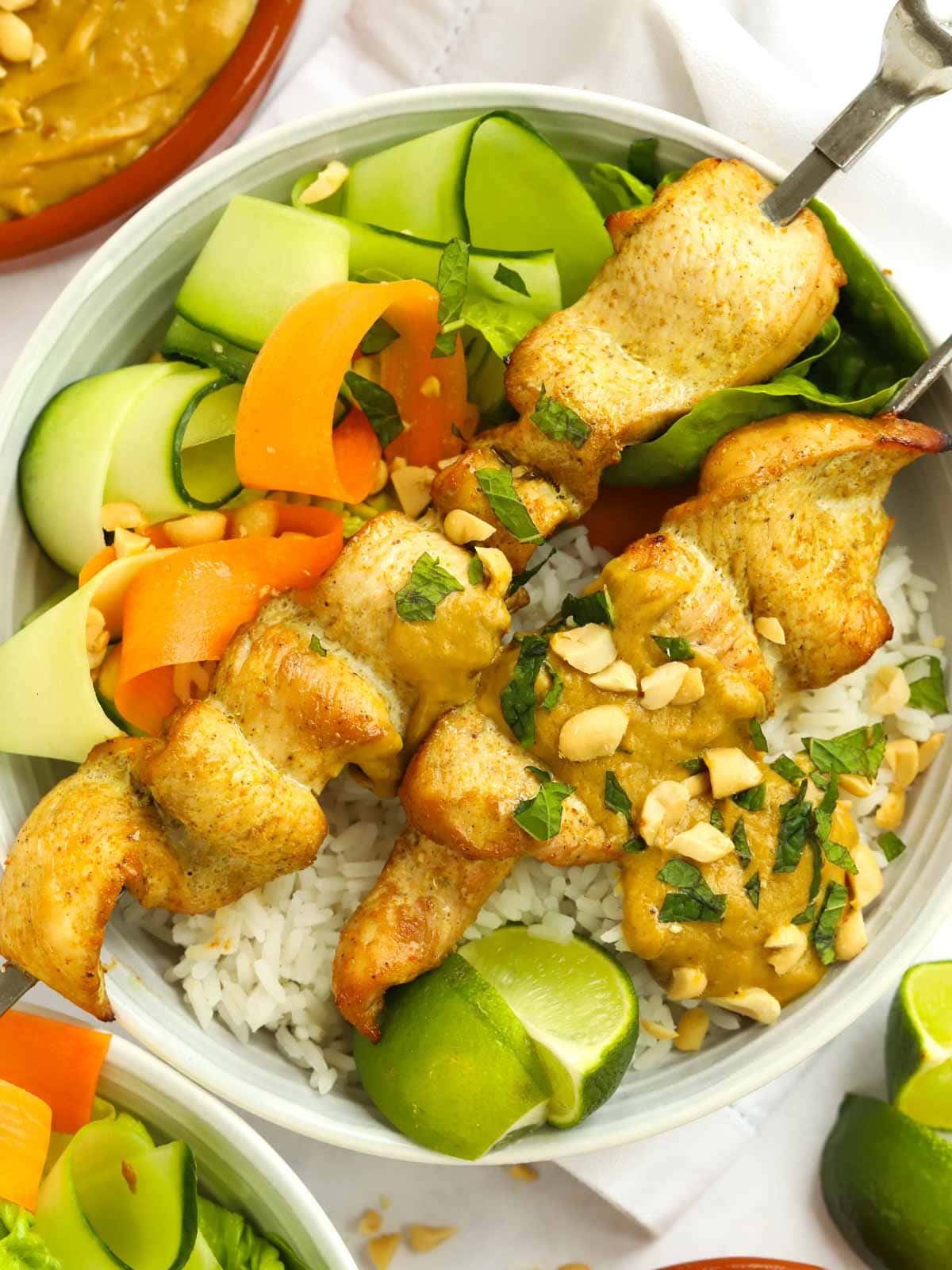 Chicken Satay recipe on a bed of rice and salad