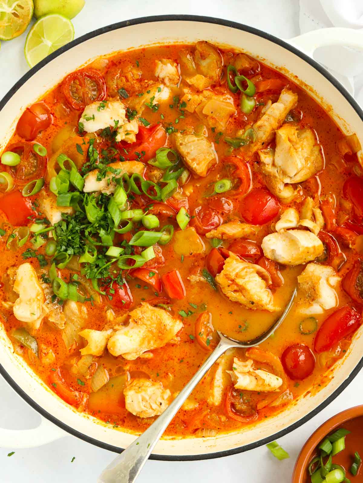 Easy fish stew with creamy coconut base in a big bowl, ready to serve.