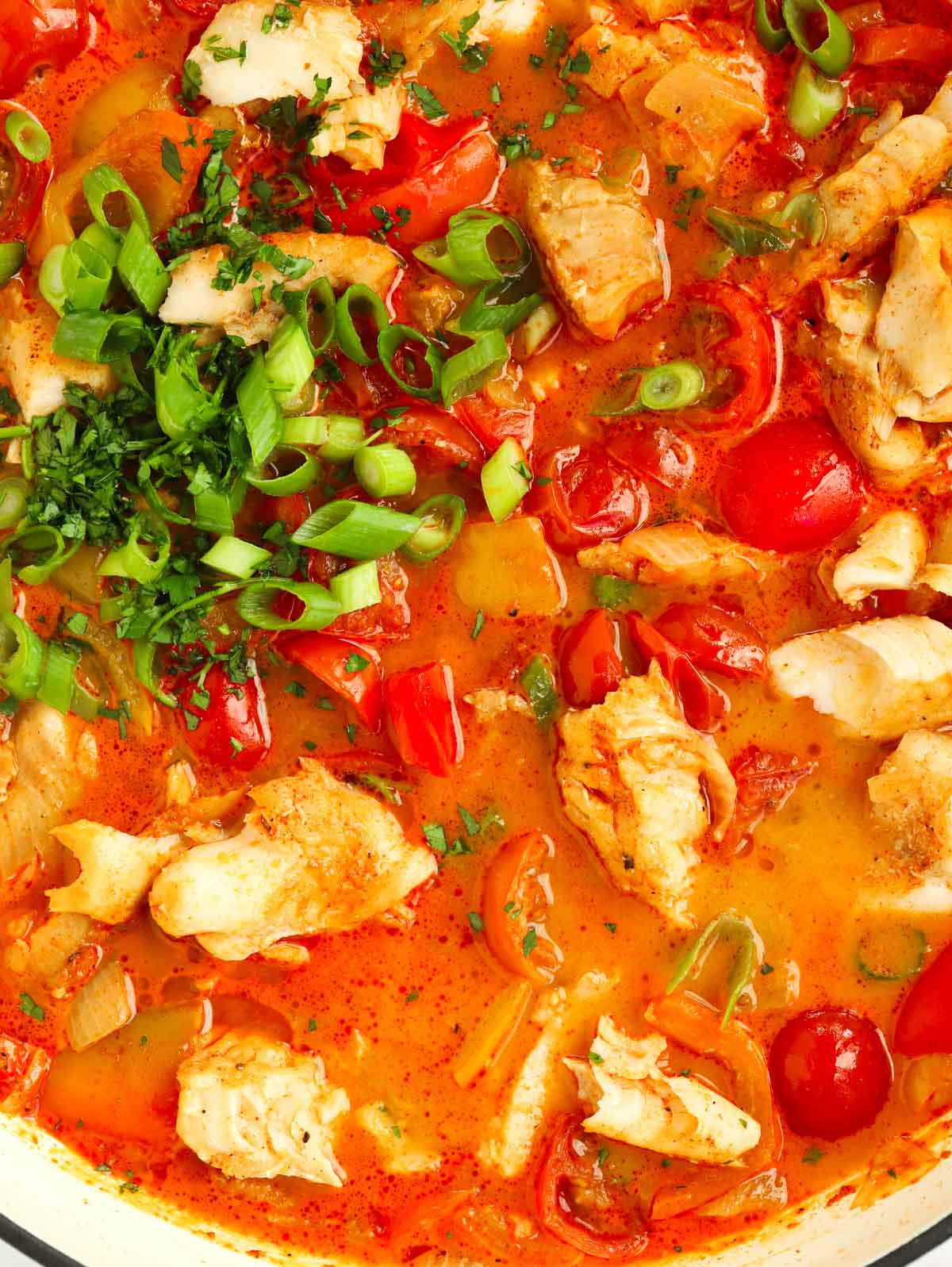 Close up of a family friendly fish stew recipe