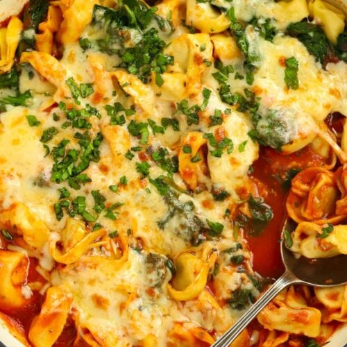 Close up of Spinach and Ricotta Tortellini Lasagne topped with melted mozzarella