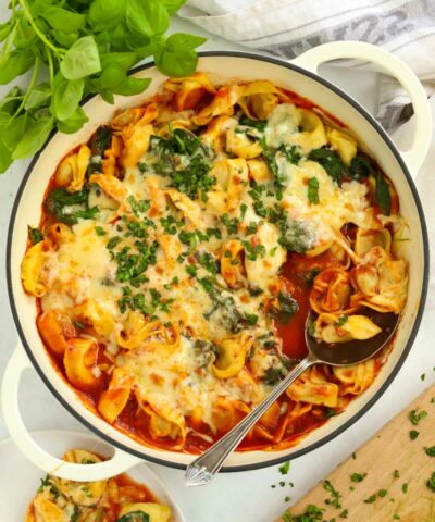 Family friendly 10 minute recipe of Tortellini Lasagne with tomato sauce.
