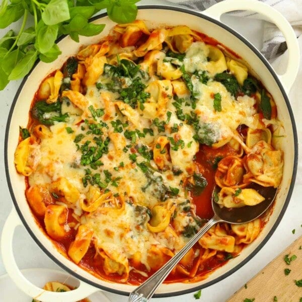 Family friendly 10 minute recipe of Tortellini Lasagne with tomato sauce.
