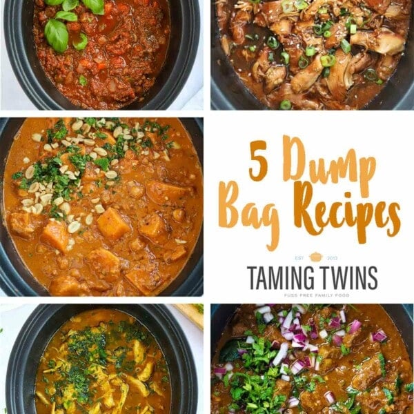 Summary photo of all 5 dump bag recipes included in this post.