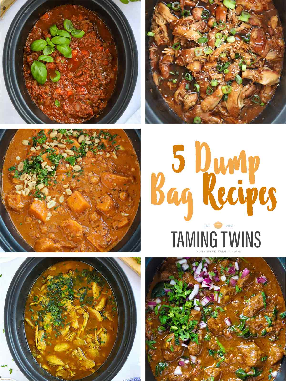 Summary photo of all 5 dump bag recipes included in this post.