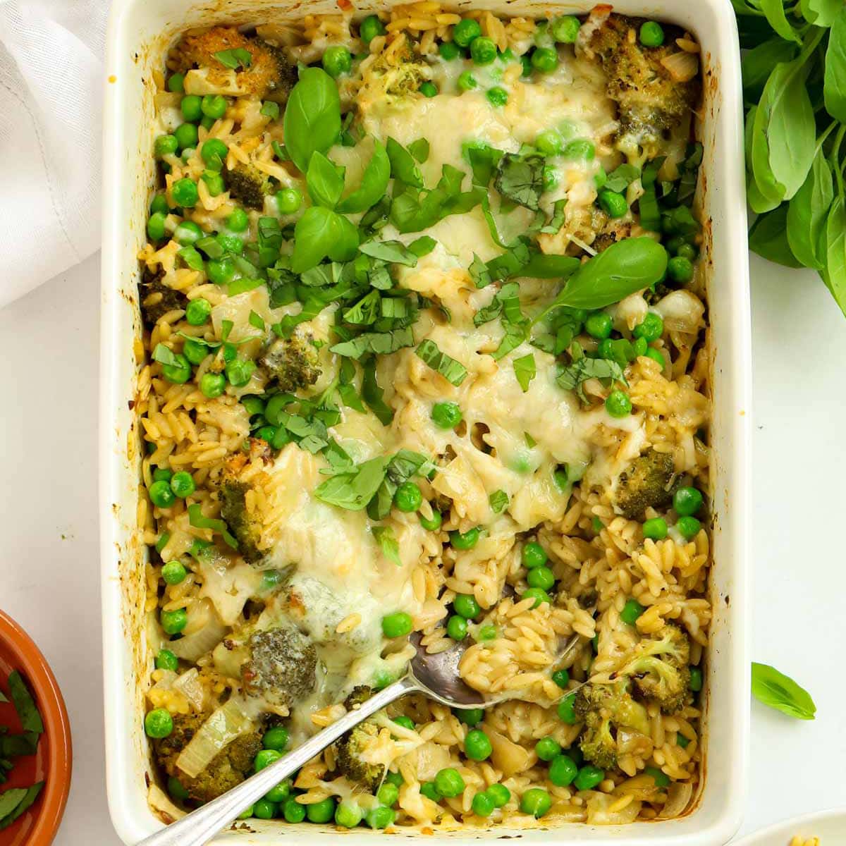 Fuss Free Family Food Recipes - Taming Twins