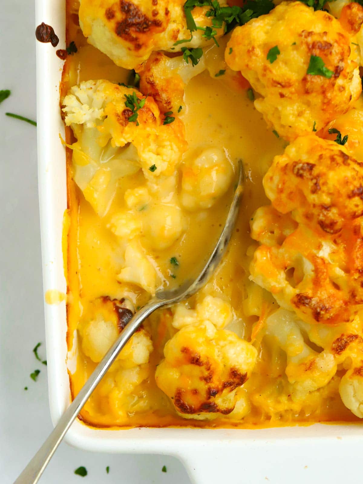 Cauliflower cheese in a bowl being dished up with spoon.