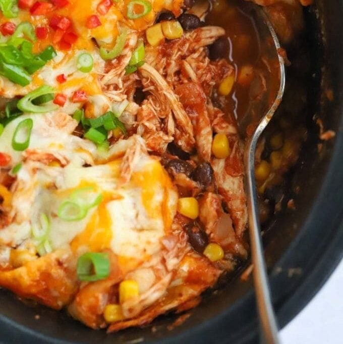 Crockpot Chicken Enchiladas