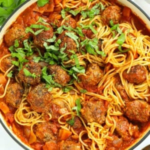 A rich and delicious family favourite - easy Italian-style meatballs served with spaghetti.