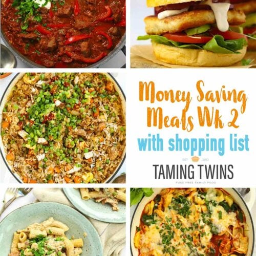 The front page of Taming Twins' budget meal plan week 2, named Money Saving Meals, with images of 5 family friendly recipes.