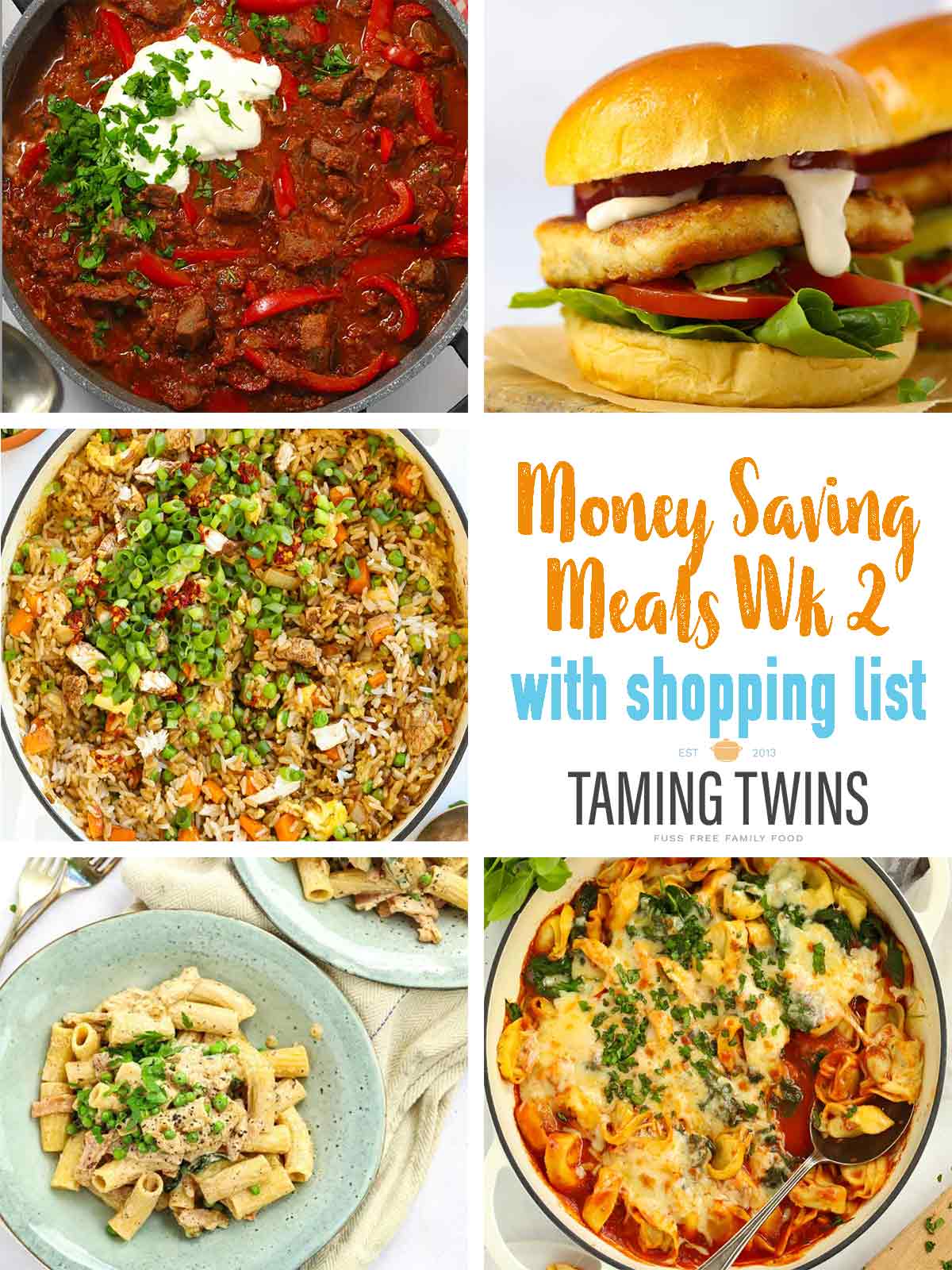 The front page of Taming Twins' budget meal plan week 2, named Money Saving Meals, with images of 5 family friendly recipes.