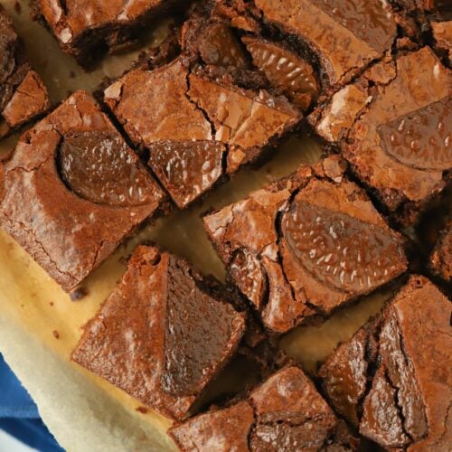 Terry's Chocolate Orange Brownies cut into squares and ready to eat.
