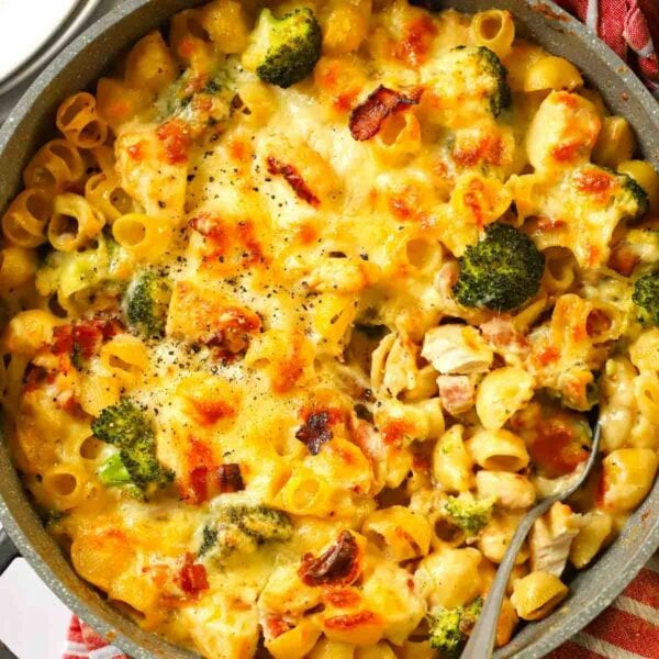 A big pot of chicken and bacon pasta bake with broccoli and cheese on top.