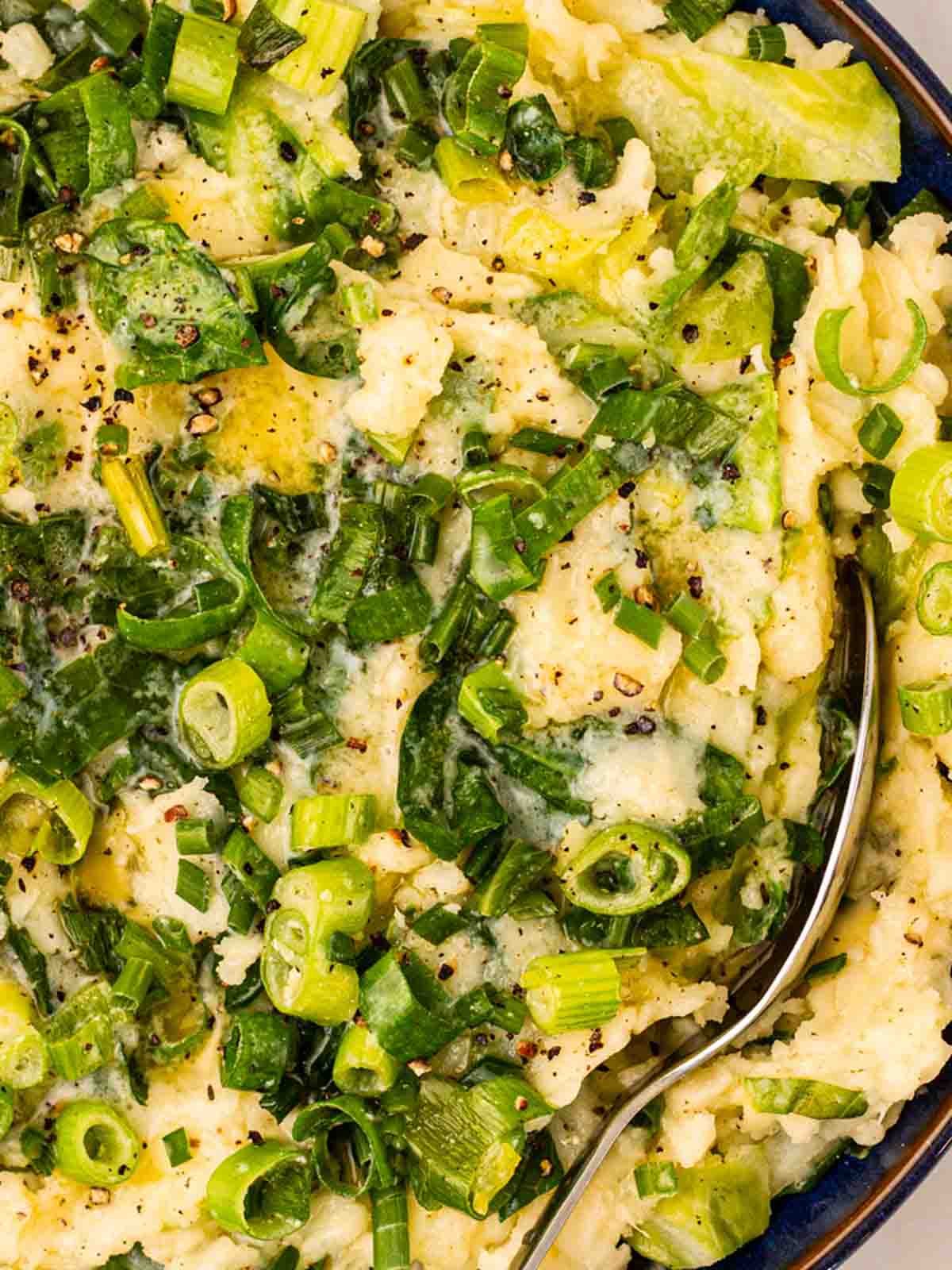 Colcannon mashed potato dish with a spoon about the dish up.