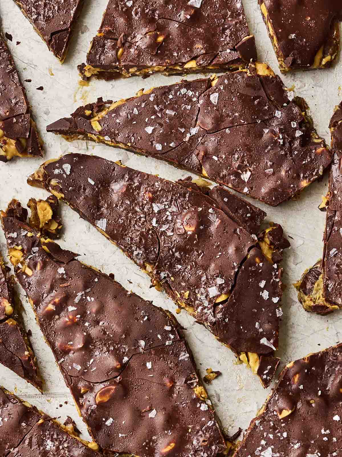 Broken up pieces of Date Bark.