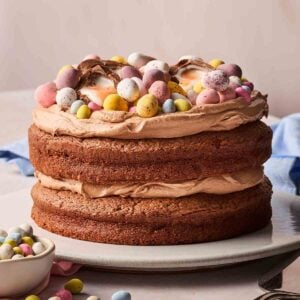 A Chocolate Cake on a plate from the side, with mini eggs on top for decoration for an Easter theme.